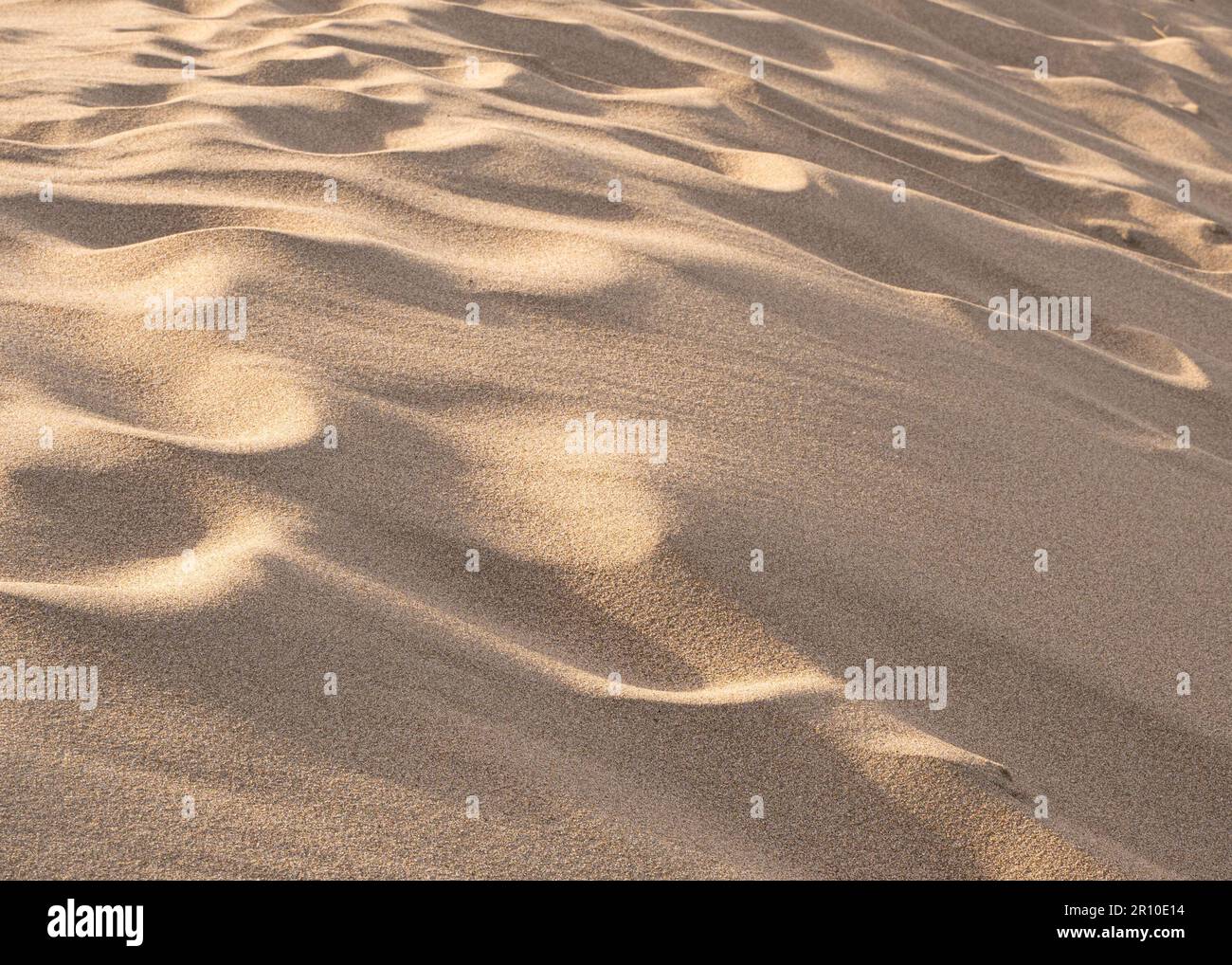 Close-up detail view of sand on sand dunes at the beach Stock Photo