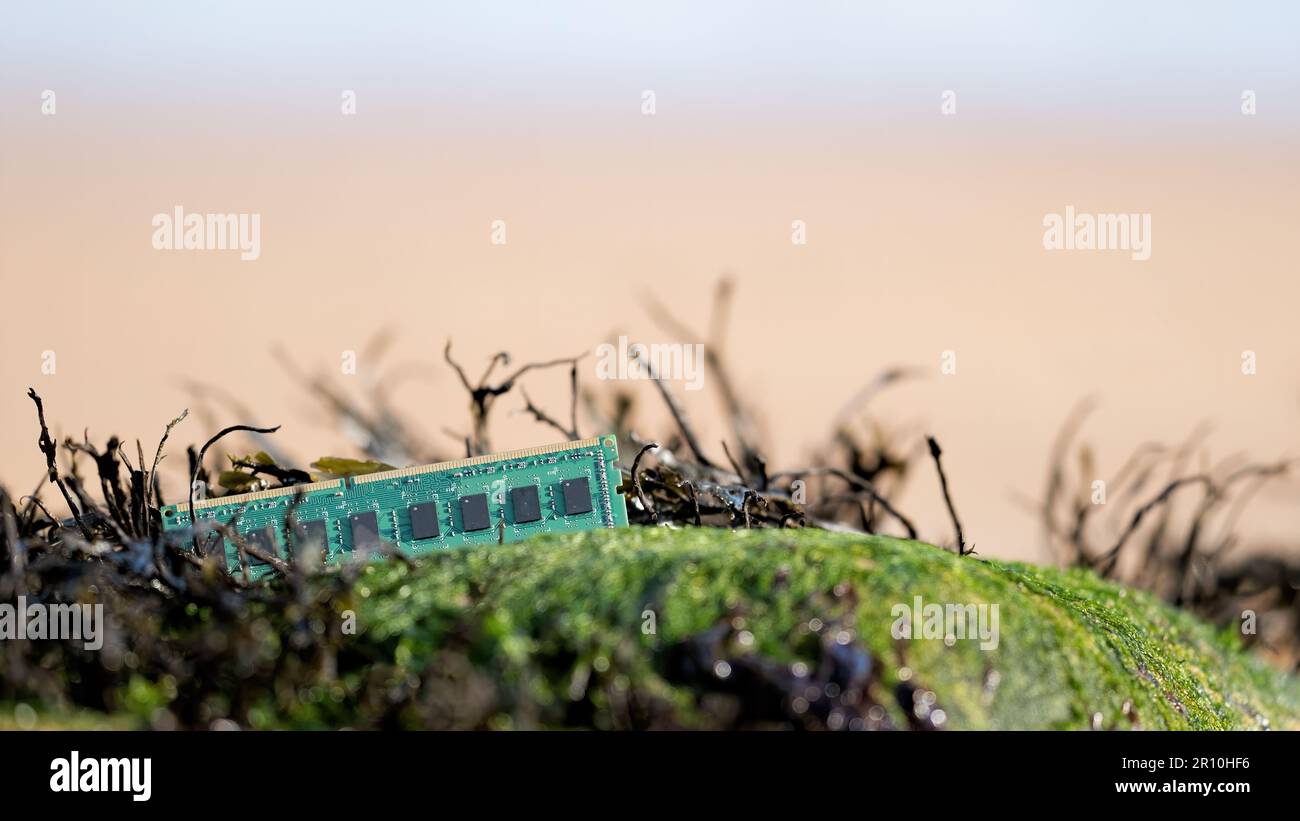 Computer memory card on the shore Stock Photo