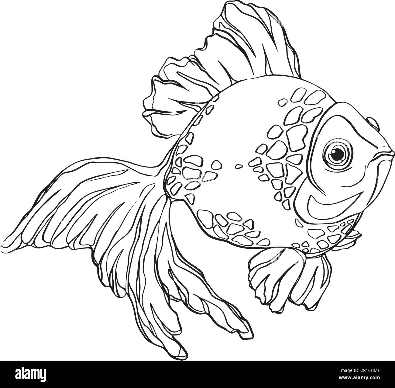 Black and white fish drawing. Simple hand drawn fish illustration