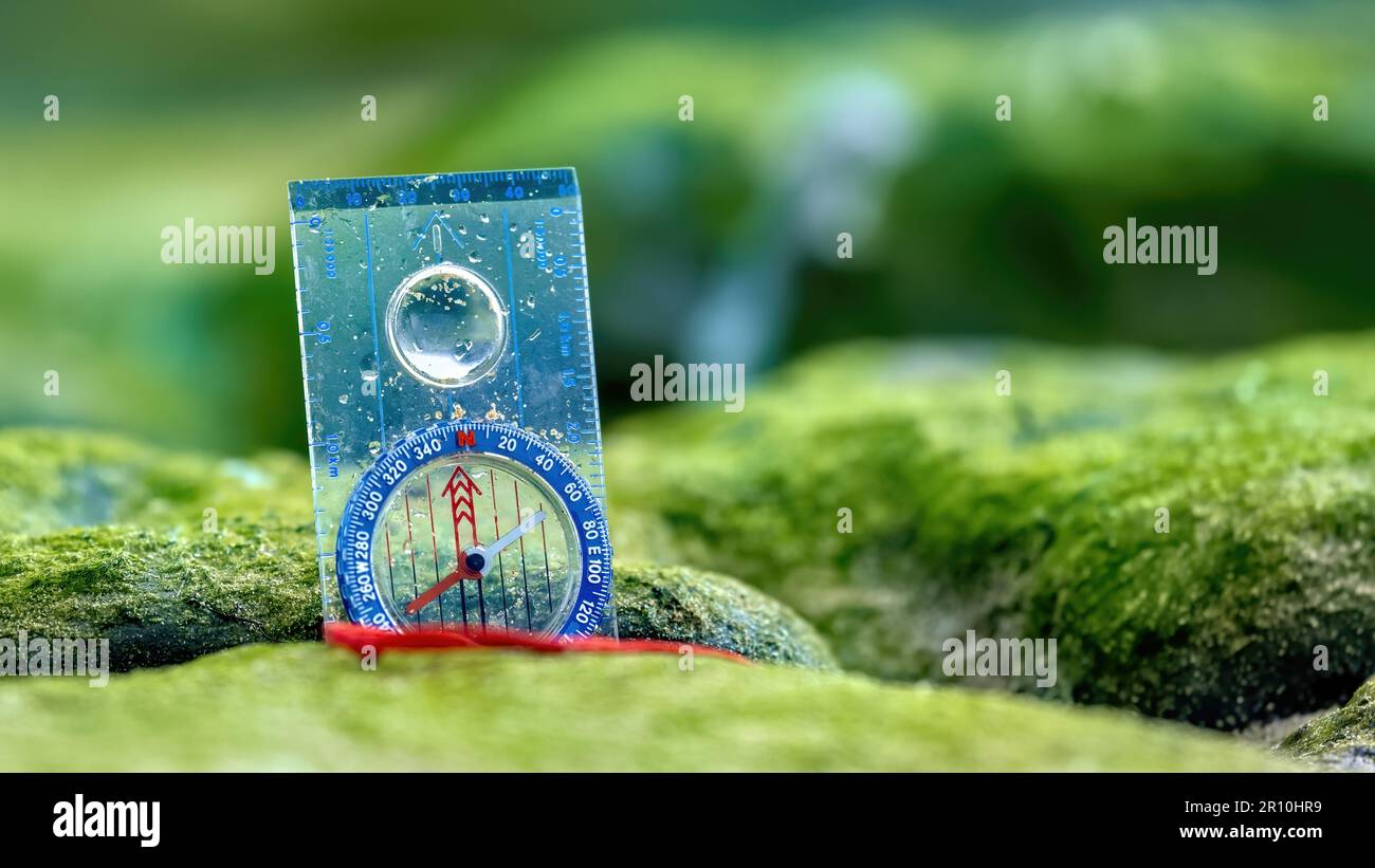 Orienteering compass on seaweed covered rock Stock Photo