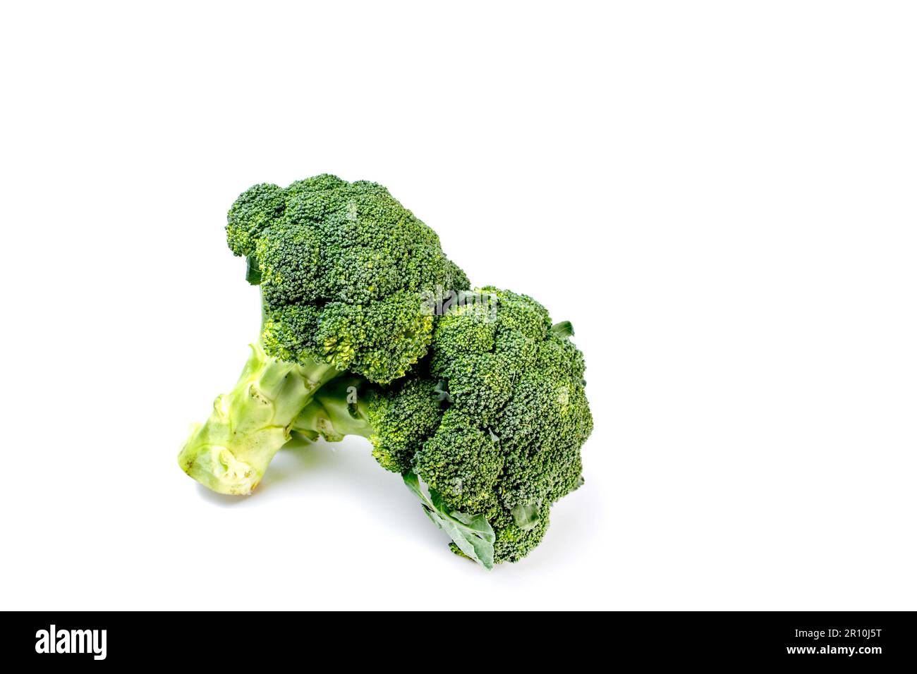 Fresh broccoli isolated on white background. Clipping path included. Stock Photo