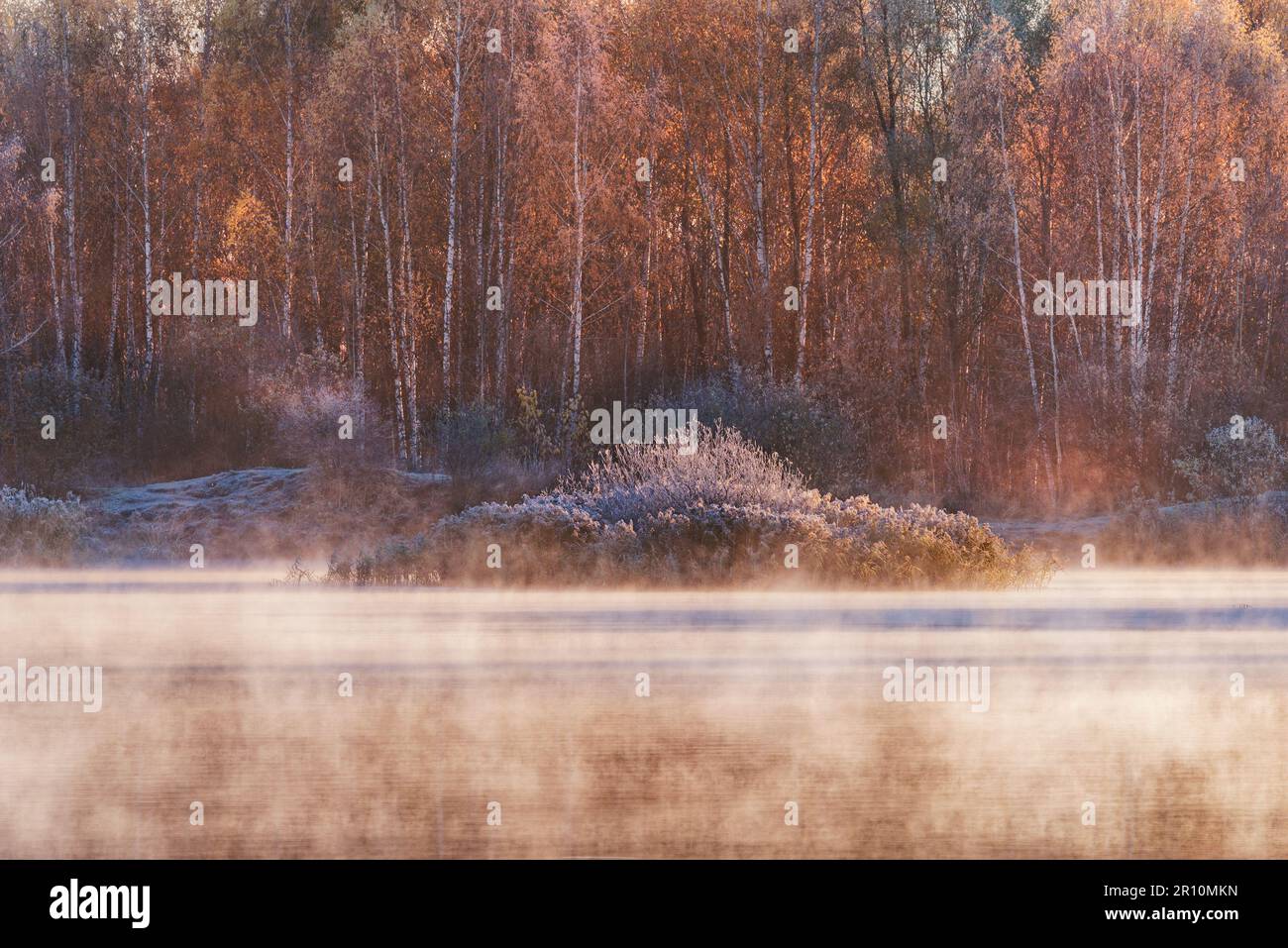 Fog above the lake at cold autumn morning Stock Photo - Alamy