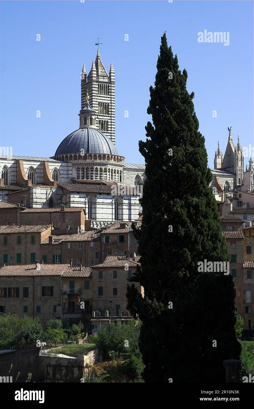 Siena, Italia, Italy, Italien; general view of the old town and cathedral; Gesamtansicht der Altstadt und der Kathedrale; Duomo di Siena; Dom Stock Photo