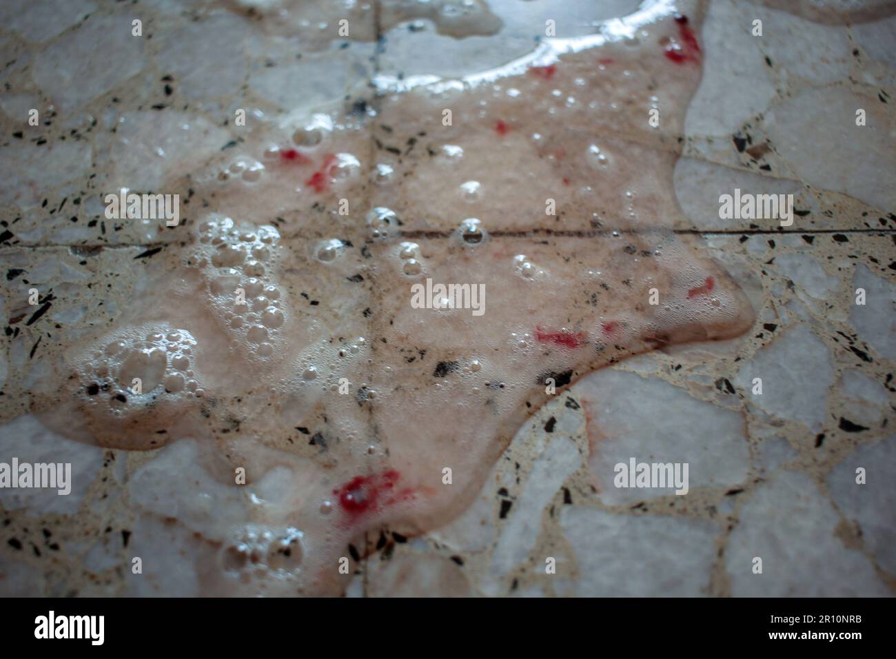 colorless cat vomit with red spots. My cat is sad and does not eat Stock Photo
