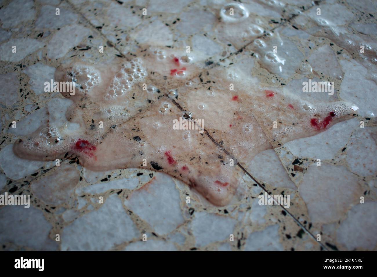transparent vomit from my cat with red spots Stock Photo