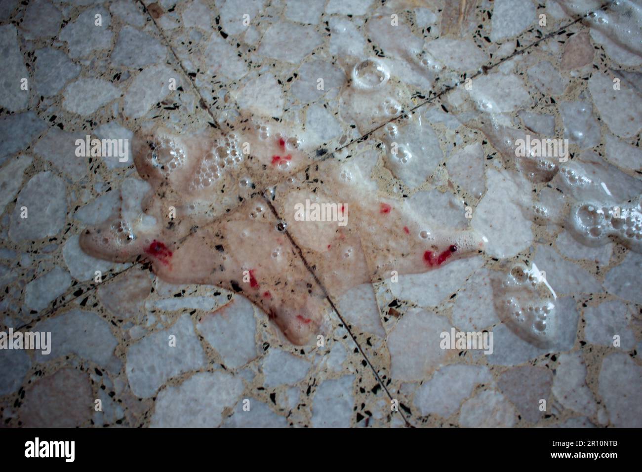 colorless cat vomit at home. My cat is sad and does not eat. It is ill Stock Photo