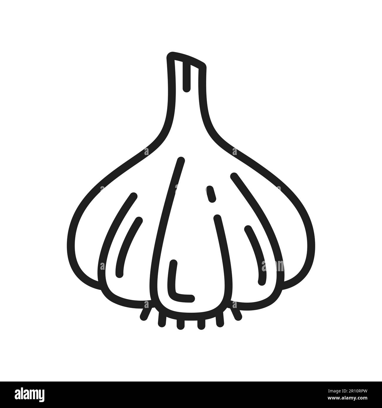 Garlic Outline