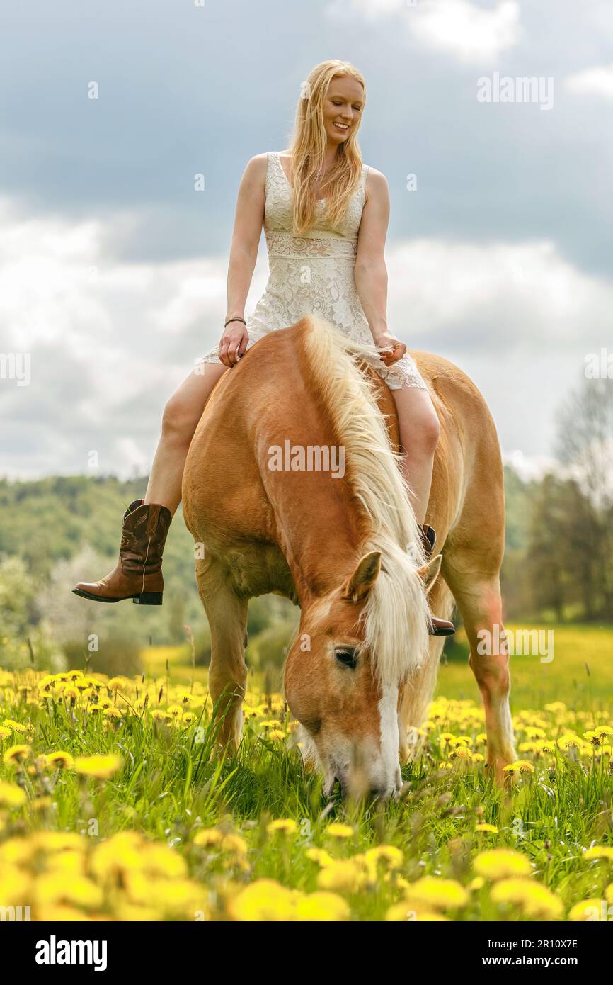 Haflinger women shop