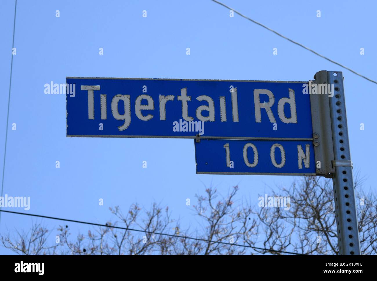 Los Angeles, California, USA 8th May 2023 Tigertail Road on May 8, 2023