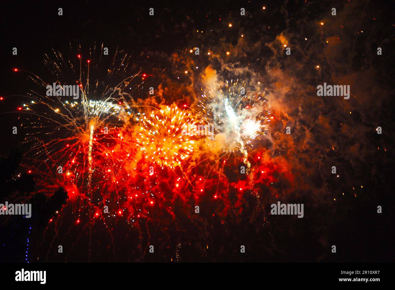 colorful firework in night Stock Photo
