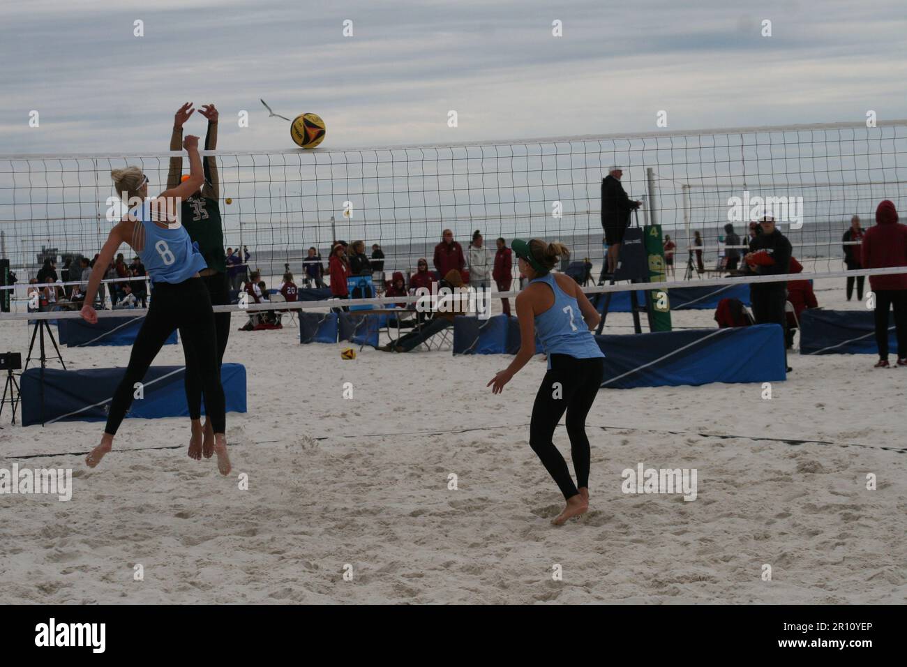 UAB Women's Beach Volleyball Tournament 2023 held in Gulf Shores