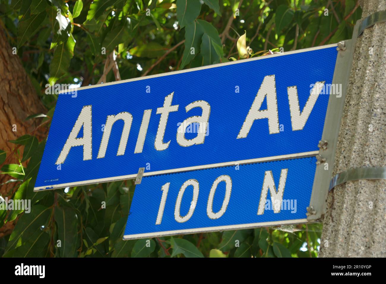 Annitarave