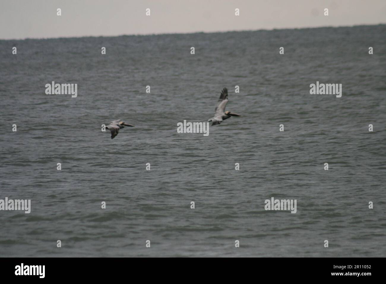 Gulf Shores Beach in March Gulf Shores, Alabama, USA Stock Photo - Alamy Weather in march gulf shores alabama