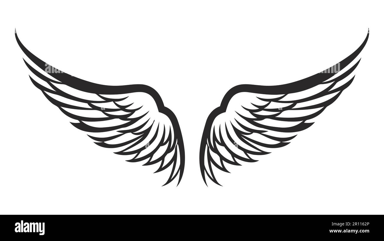 Angel wings, bird wings collection cartoon hand drawn vector