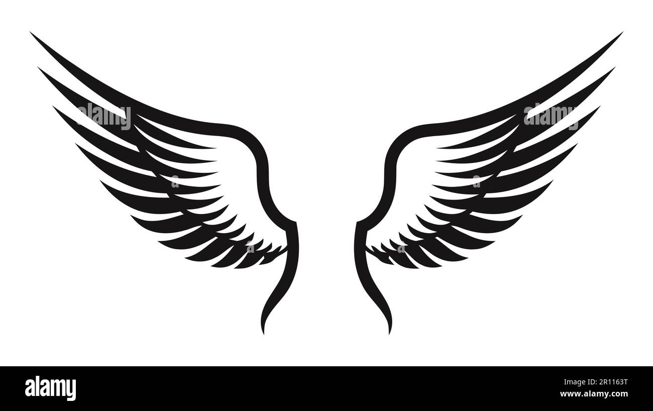 Angel wings, bird wings collection cartoon hand drawn vector ...
