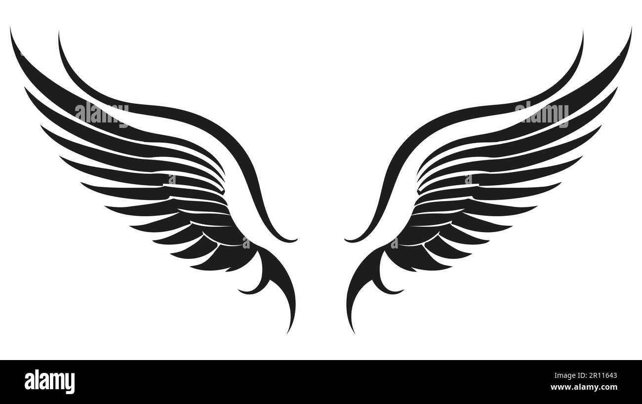 Angel wings, bird wings collection cartoon hand drawn vector