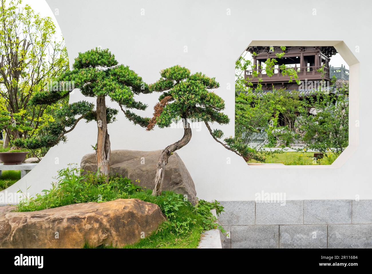 bonsai schere obi Bonsai-Schere – scharfes Leichtgewicht für präzise Schnitte main image 0