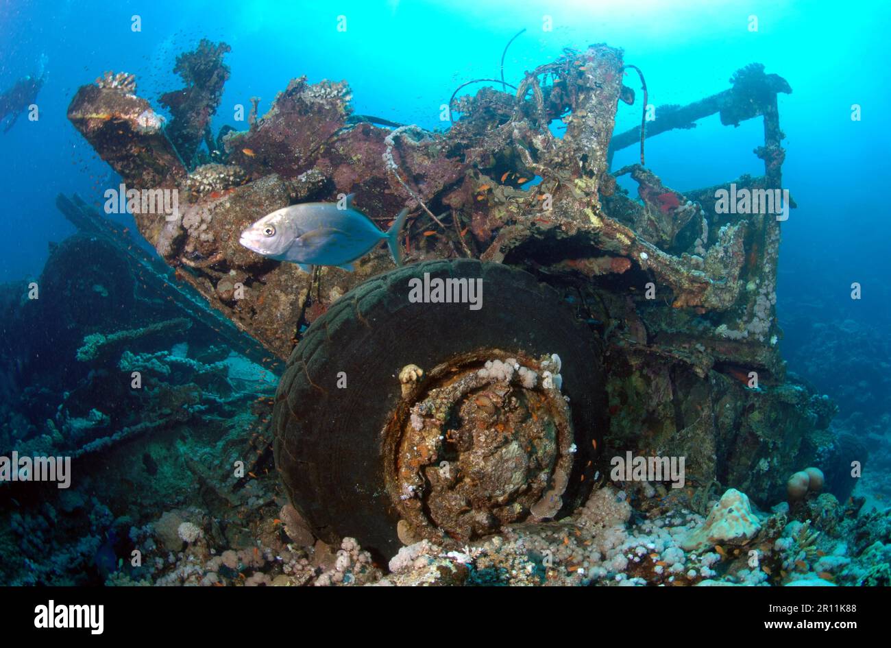 Wreck of a sunken Toyota truck, car wreck, Shaab Suedi Rif, Sudan, Red Sea Stock Photo