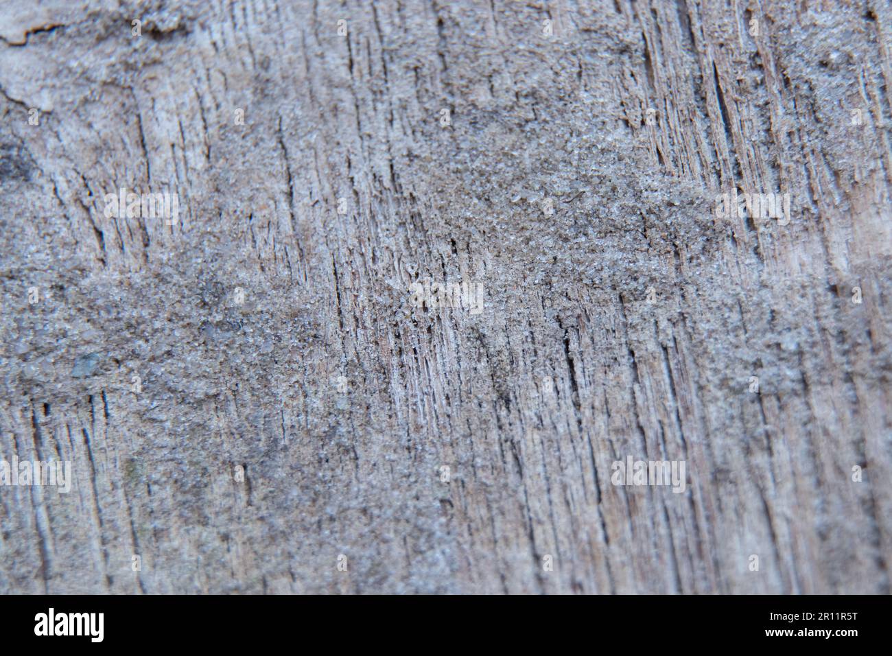 wooden texture closeup in daylight Stock Photo