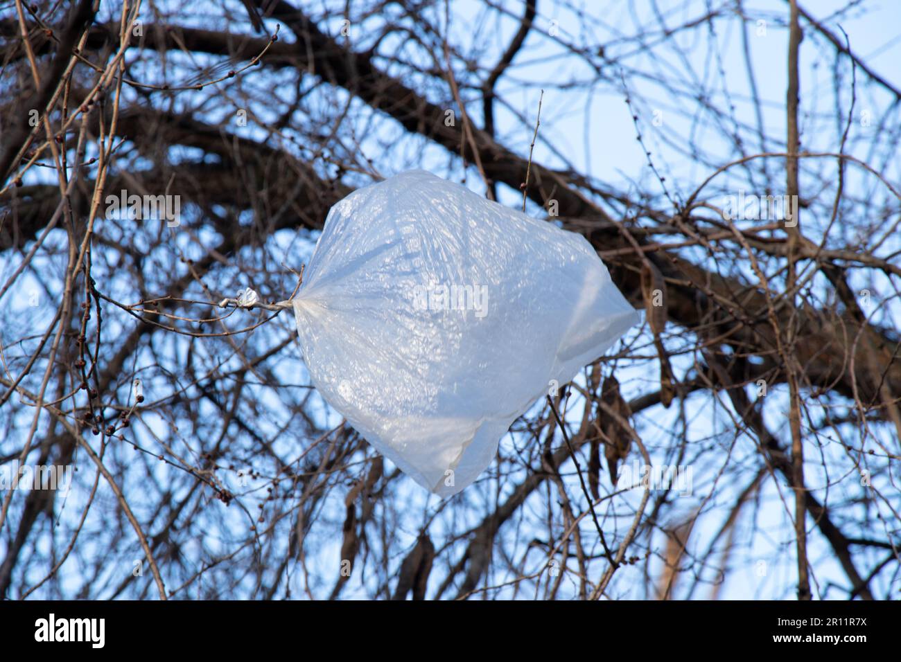 plastic bag tree branch against the sky Stock Photo Alamy