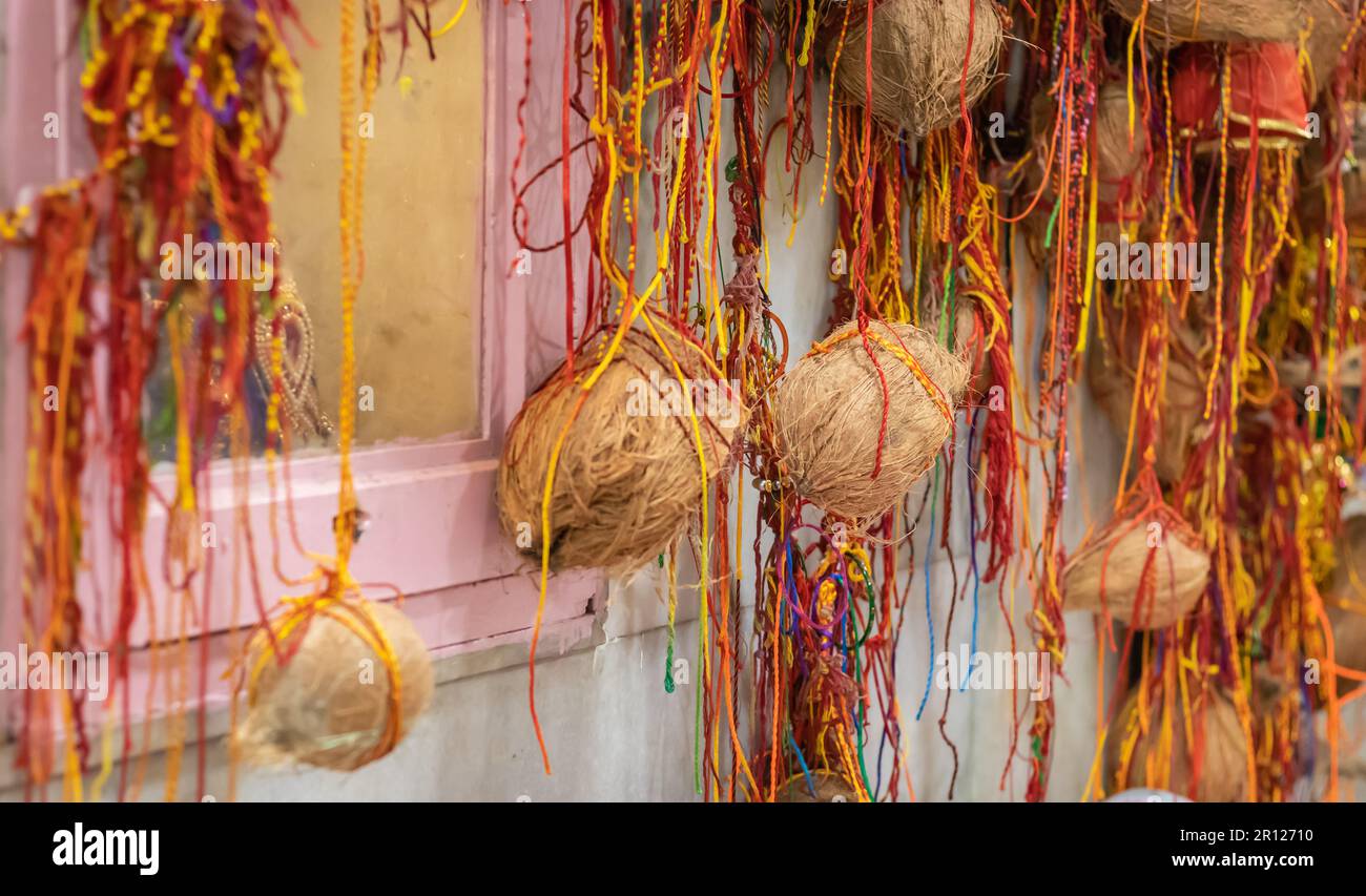 peeled coconut many tied with holy red threads at temple for god ...
