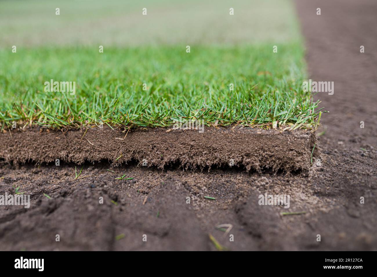 A piece of new grass from a roll laying on a football pitch. Stock Photo