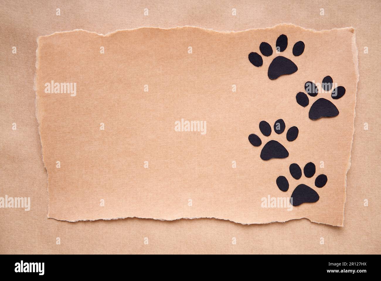 Postcard with paw foot trail icon, paper art style. Animal love concept, greeting card, invitation mockup. Flat lay, top view, copy space Stock Photo