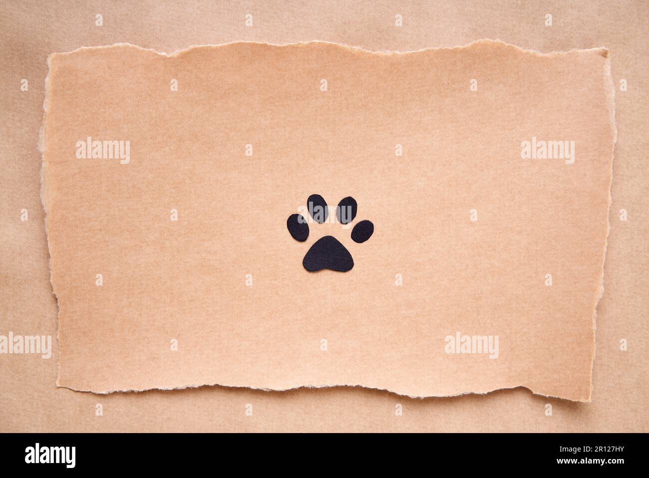 Paw print icon on craft paper with ripped edges, paper art style. animal love concept, greeting card, invitation mockup. Flat lay, top view, copy spac Stock Photo