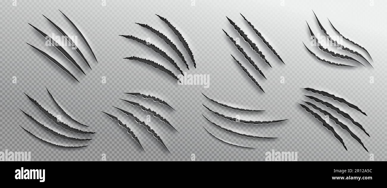 Black claws scratch. Monster, beast bite. Fight scar. (Full Vector) vector  de Stock