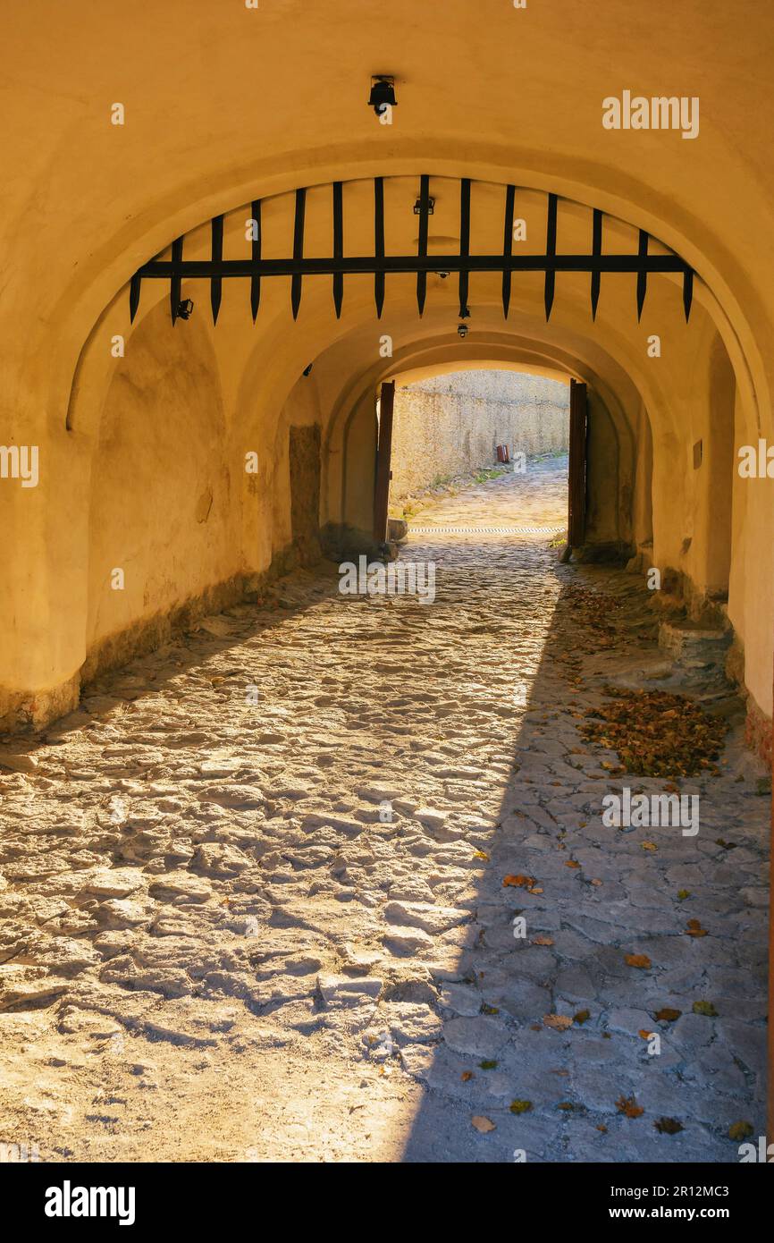 vintage entrance with arch. architectural element Stock Photo