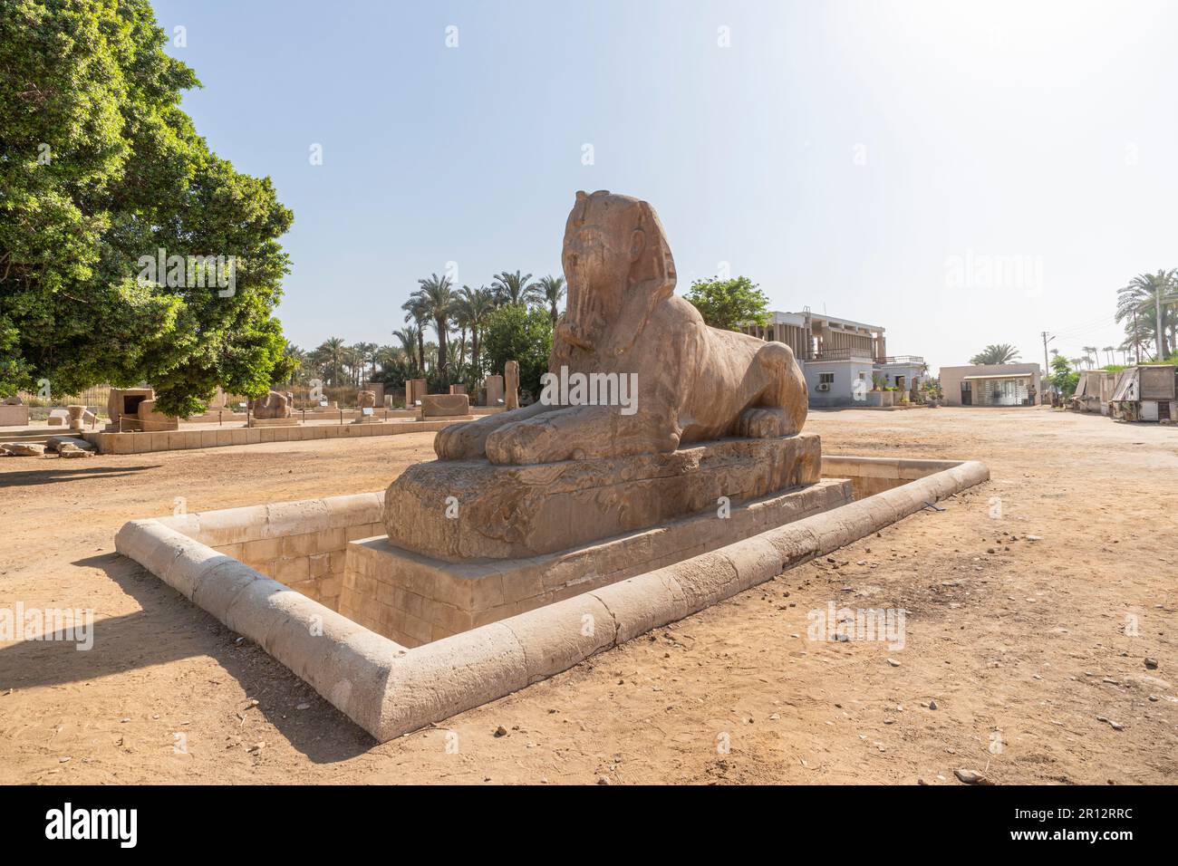 The alabaster sphinx of Amun-Ofis II at the ancient Egyptian capital of ...