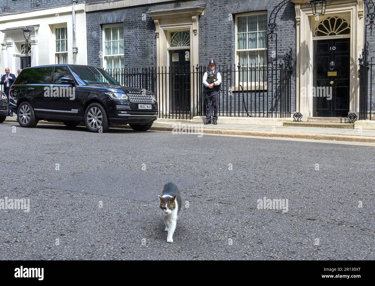 Larry the Cat Chief Mouser to the Office since 2011 in
