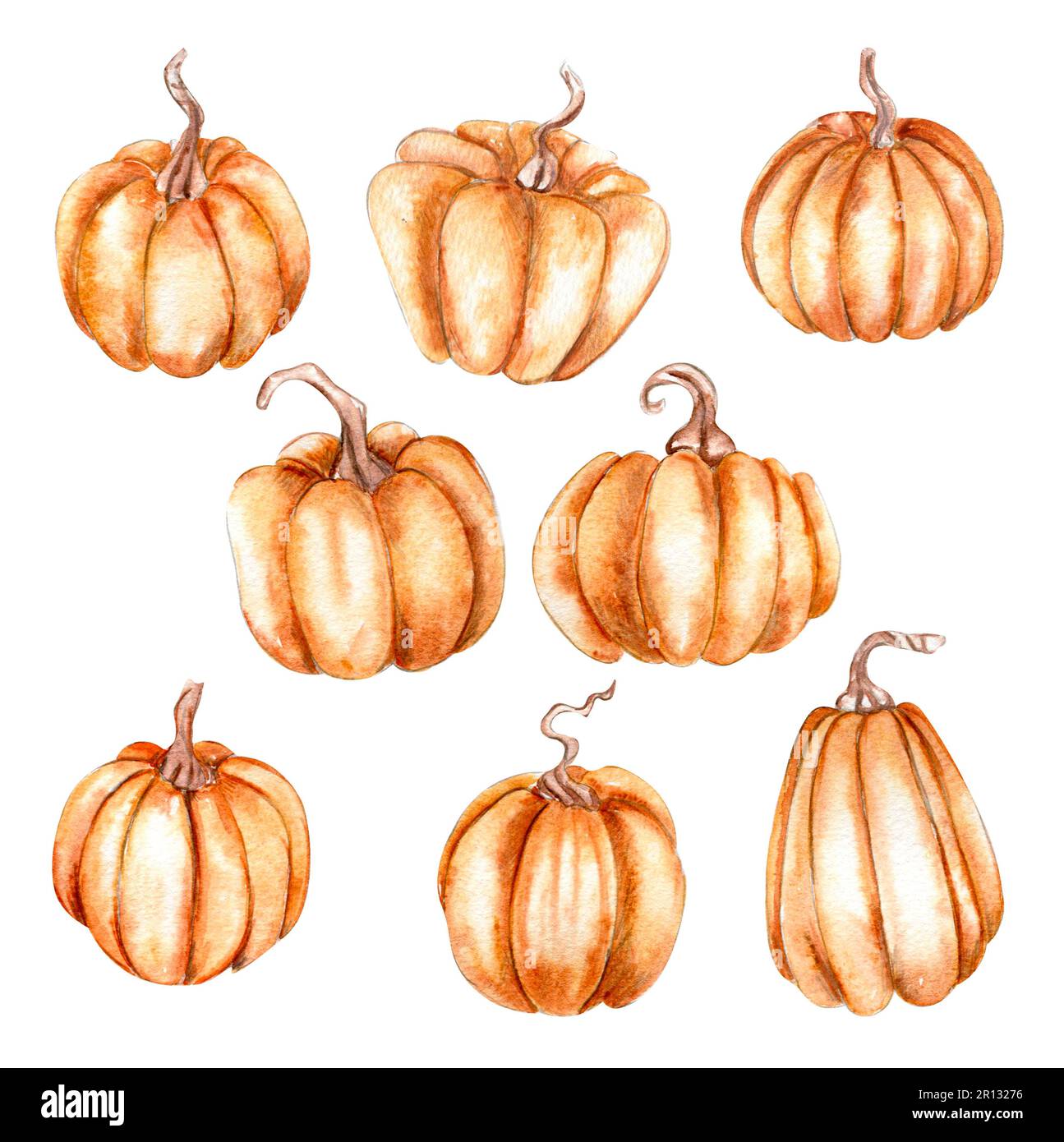 Watercolor hand drawn autumn leaves and pumpkins. Hand drawn ...