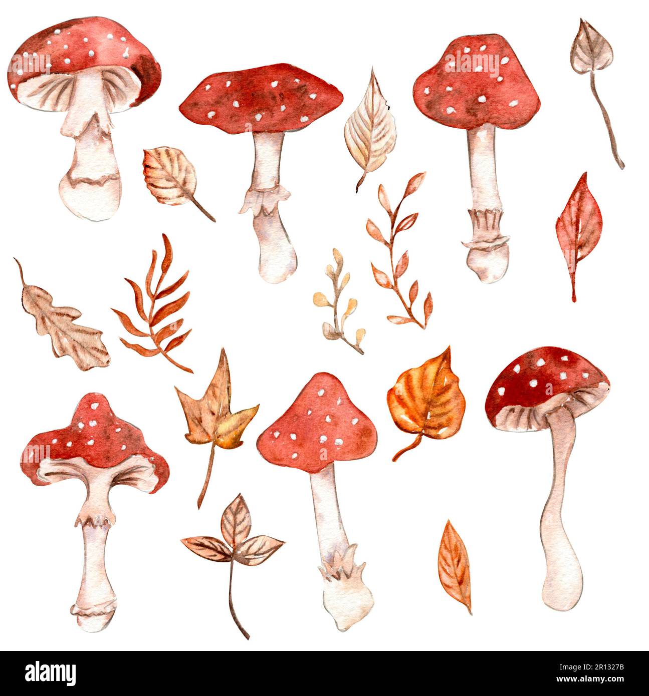 Watercolor hand drawn autumn leaves and mushrooms. Hand drawn ...
