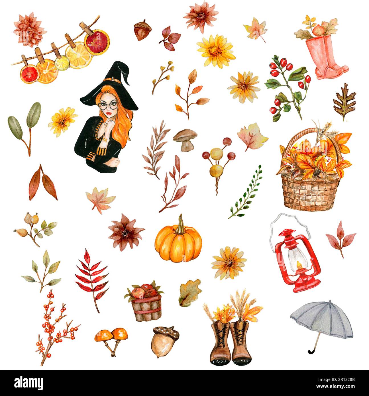 Watercolor hand drawn autumn leaves and pumpkins. Hand drawn ...