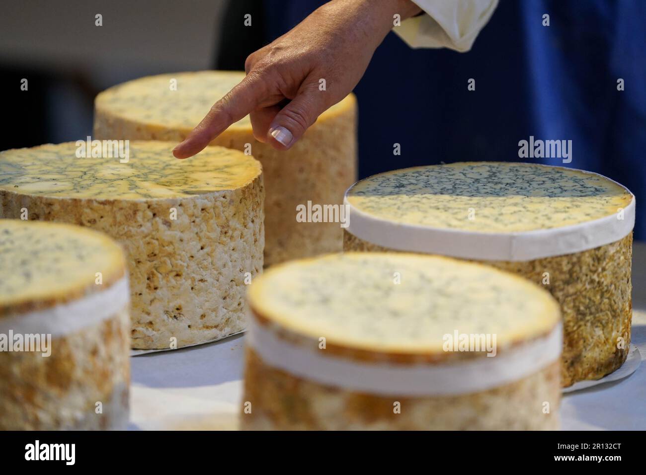 Judging takes during the artisan cheese awards at St Mary's Church