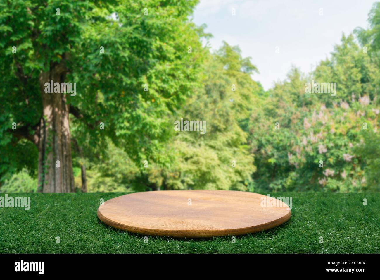 Wood tabletop podium floor in outdoors green leaf tropical forest nature landscape background.Organic healthy natural product present placement pedest Stock Photo