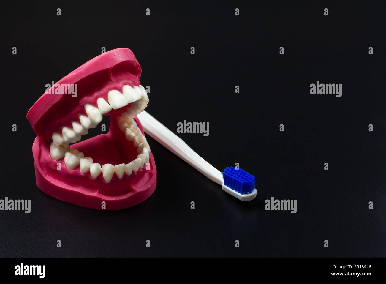 Toothbrush and layout of the human jaw on the black background Stock ...