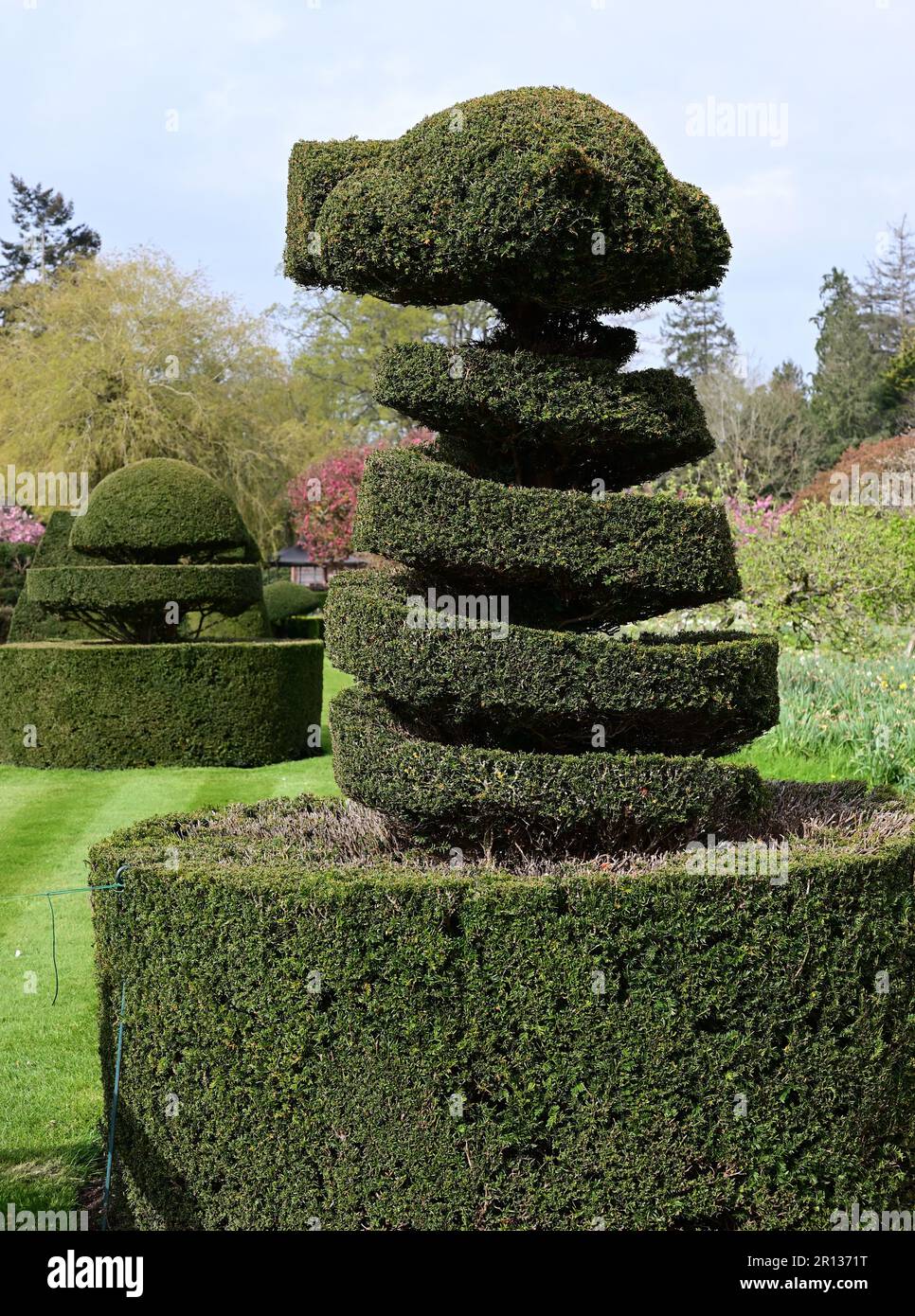Topiary at Hever Castle, the childhood home of Anne Boleyn Stock Photo ...