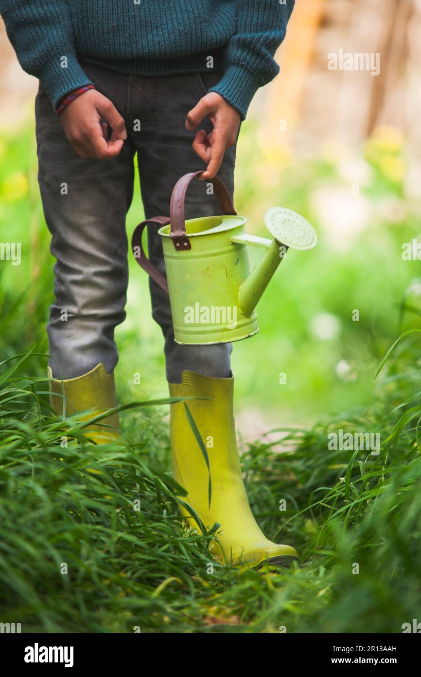 A playful scene unfolds as a young boy's legs, clad in rain boots, wield a watering can, embracing the joy of splashing and watering plants. Stock Photo