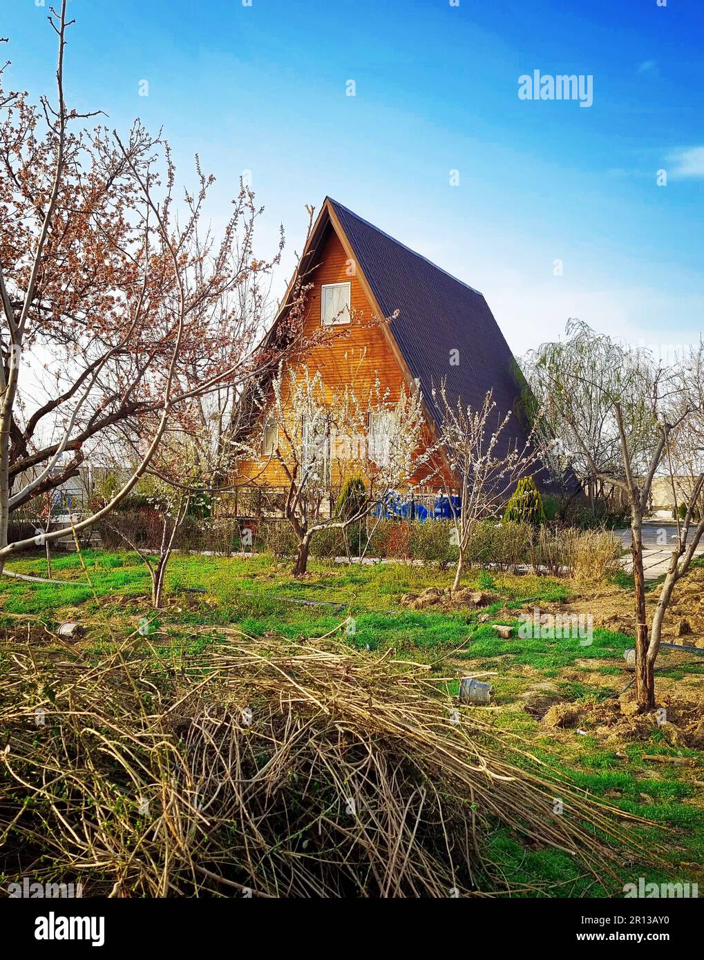 Spring summer autumn winter trees hi-res stock photography and images ...