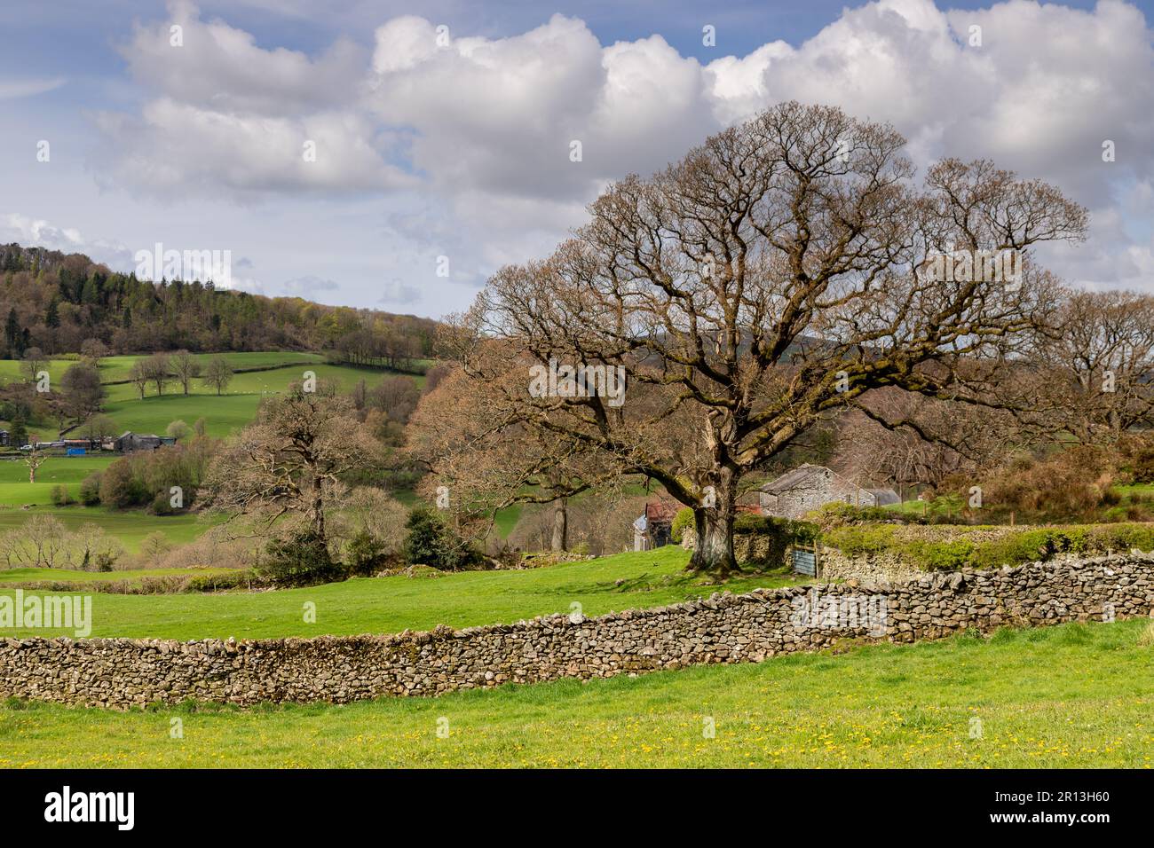 Rural landscape in the Lake District, Cumbria, England Stock Photo