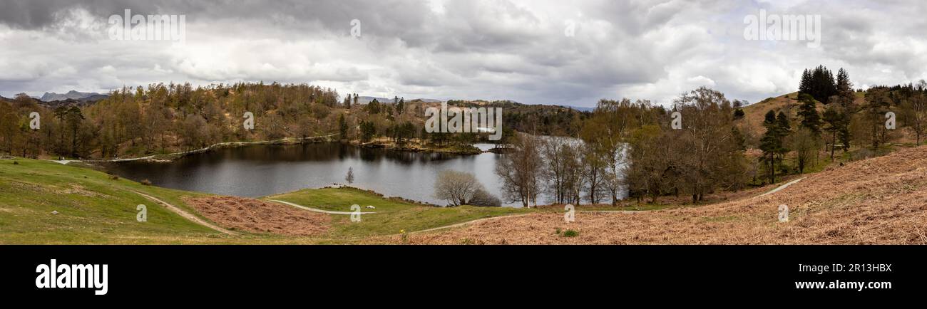 Panoramic view of Tarn Hows lake in the Lake District, Cumbria, England Stock Photo