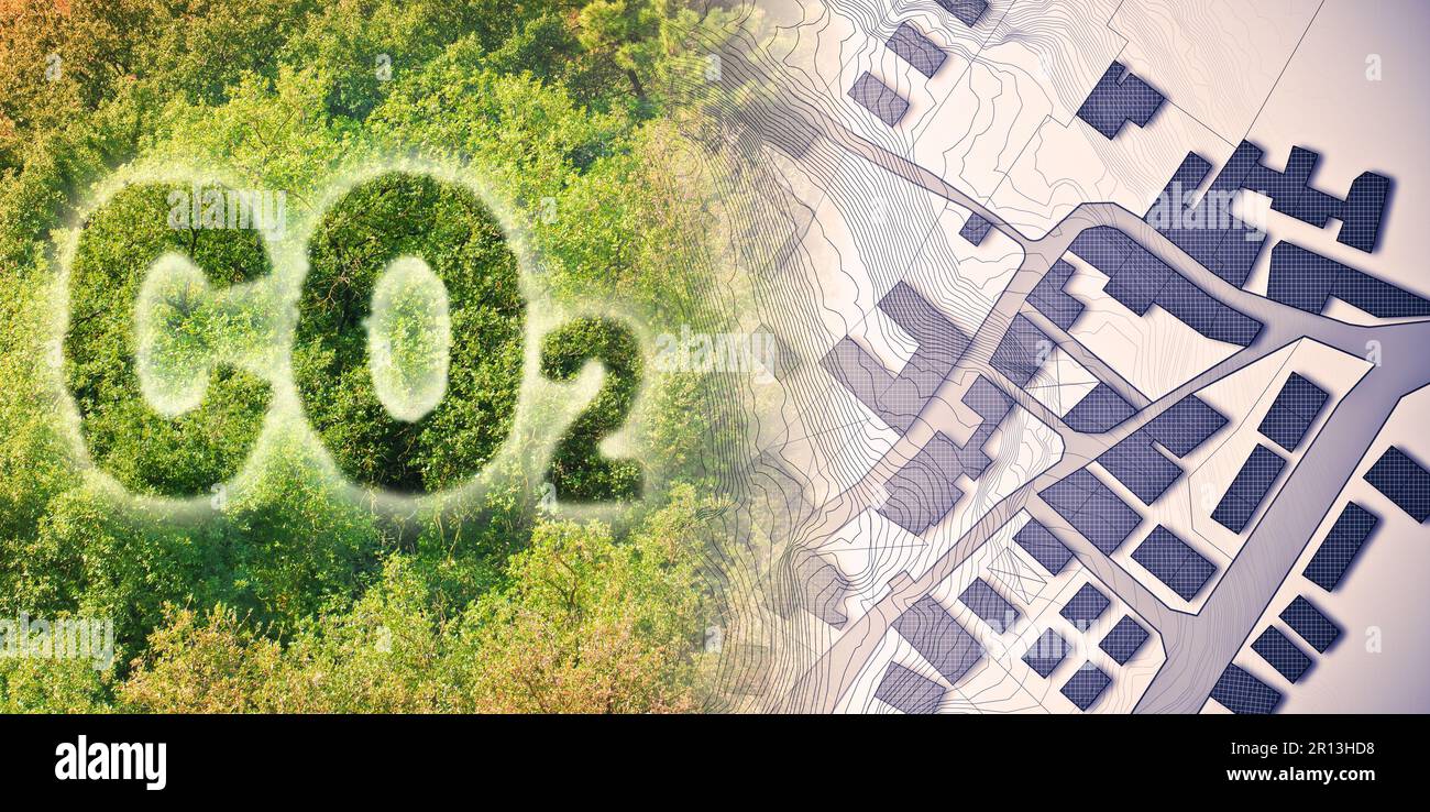 Planting more trees reduce the amount of CO2 in our cities concept