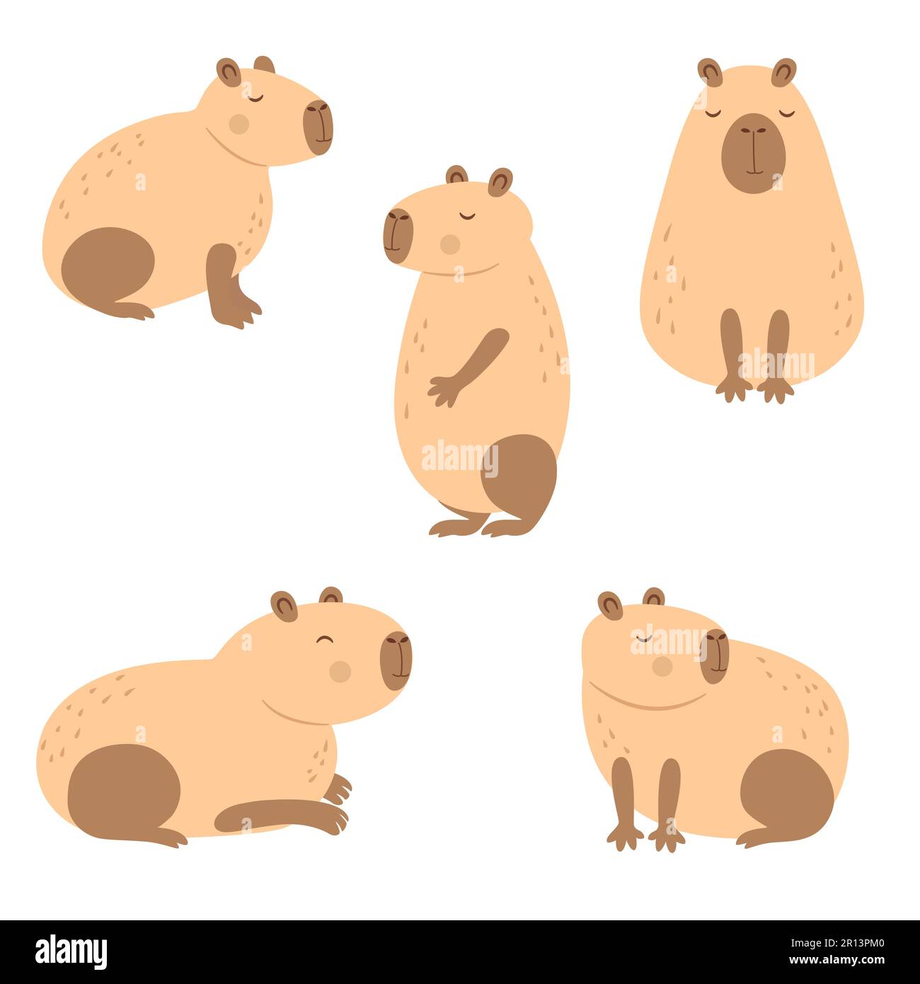 Capybara  Animal illustration art, Capybara, Animal illustration