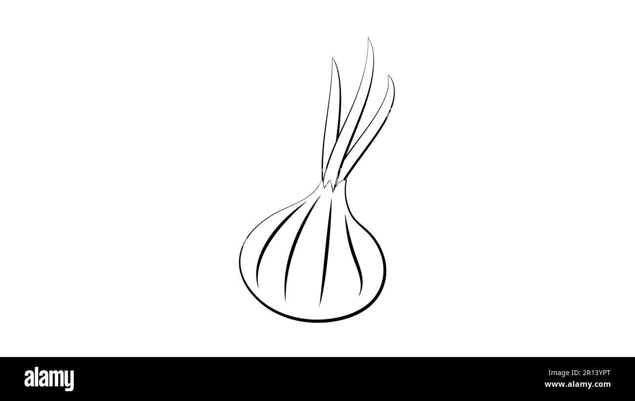 Bulb onion or common onion vegetable line art vector icon for food apps ...