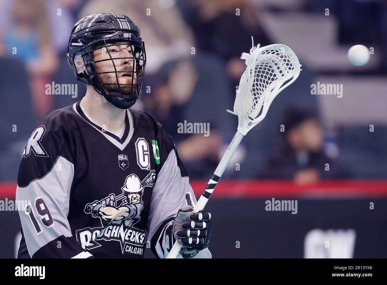 NLL (National Lacross League) profile photo on Calgary Roughnecks