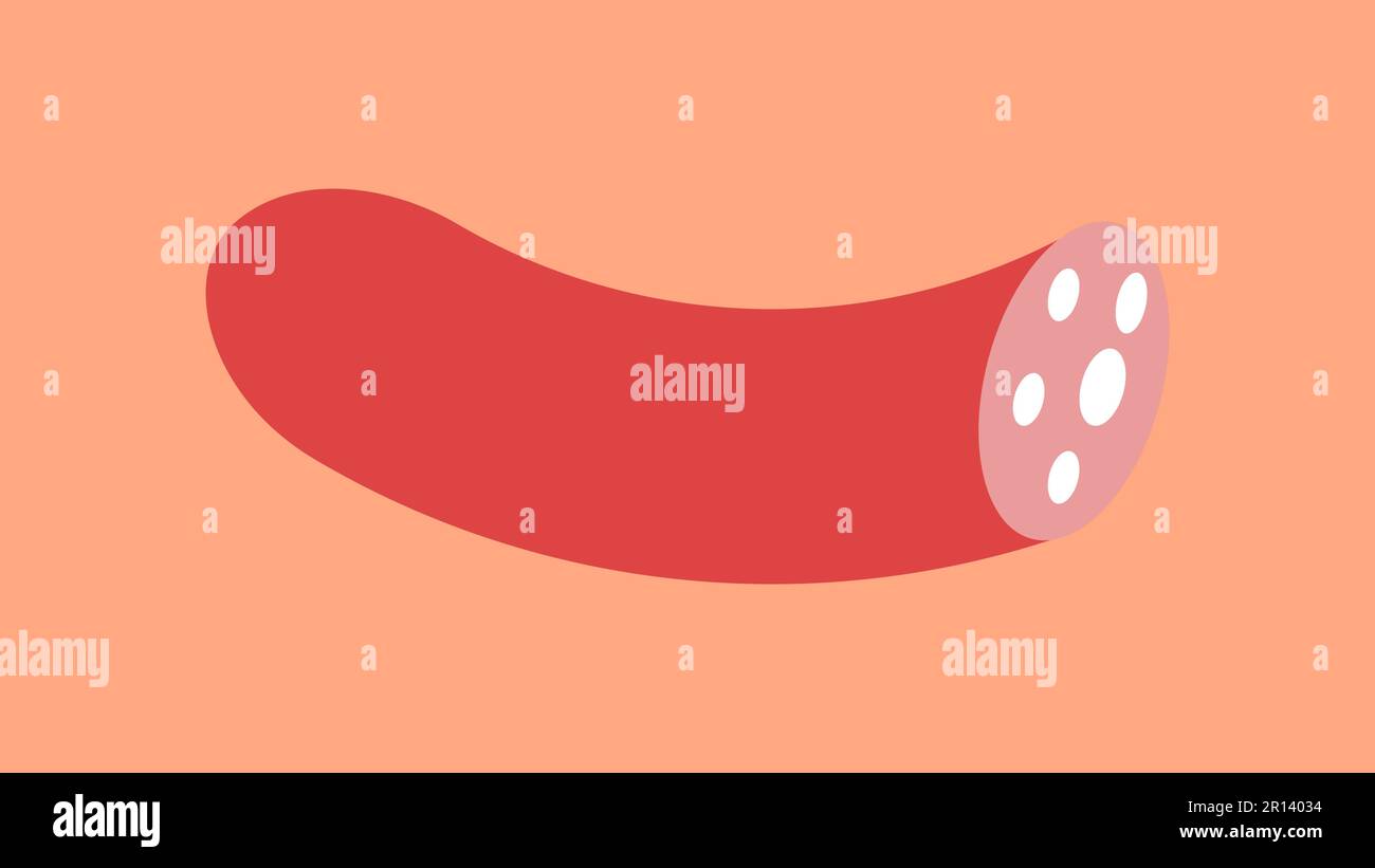 Cartoon flat style salami sausage with slices. Smoked meat product
