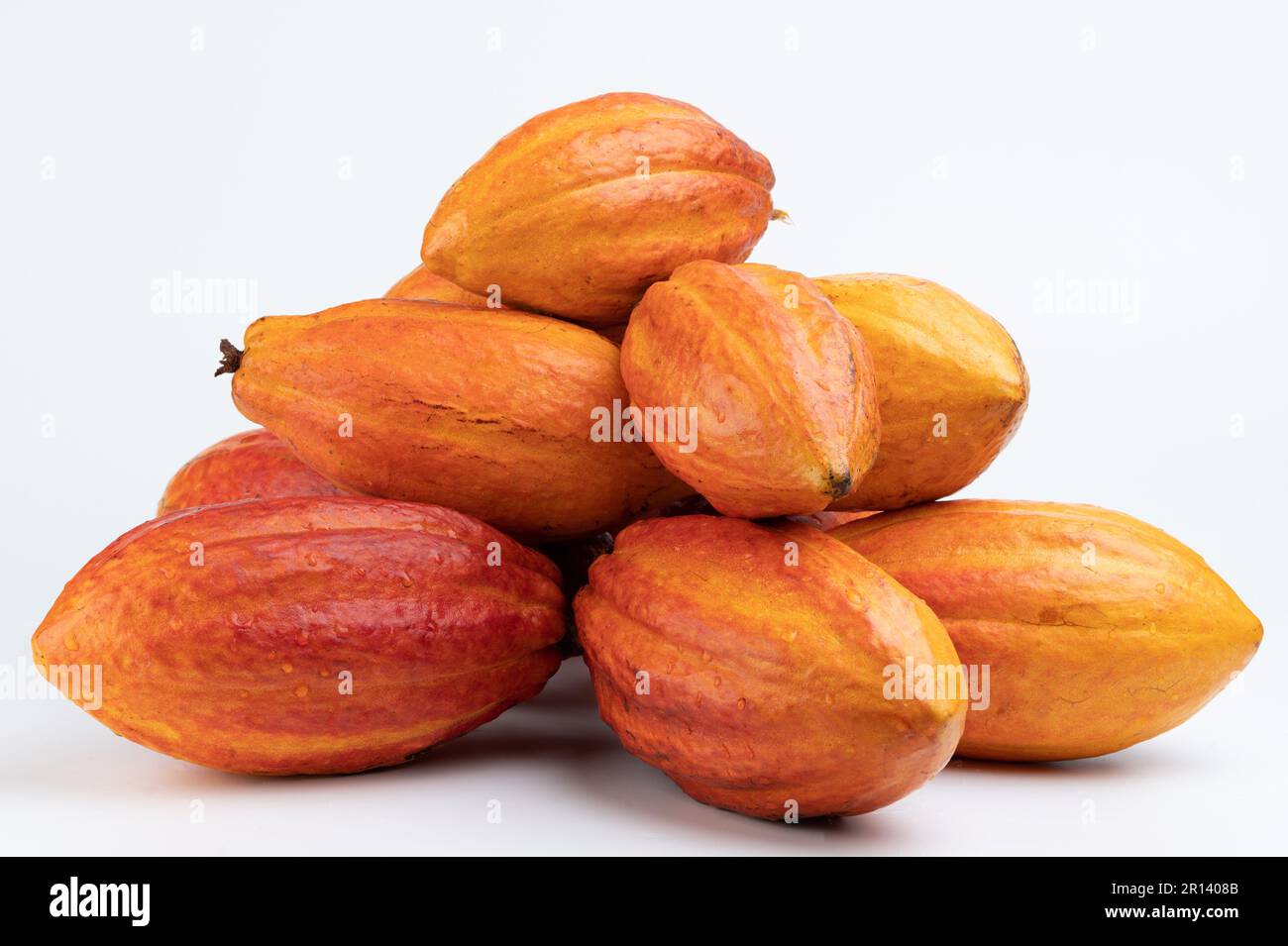 Clean wet colorful cacao pods isolated on white studio background Stock