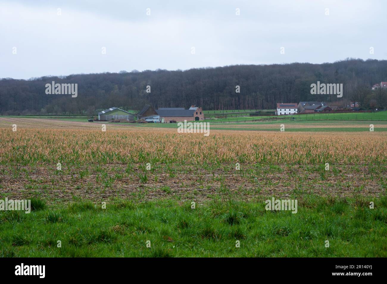 Sown land hi-res stock photography and images - Alamy